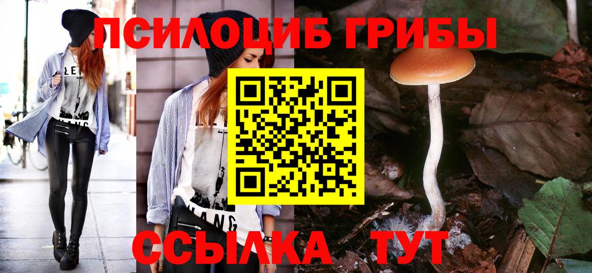 Псилоцибиновые грибы Psilocybe Верхний Уфалей