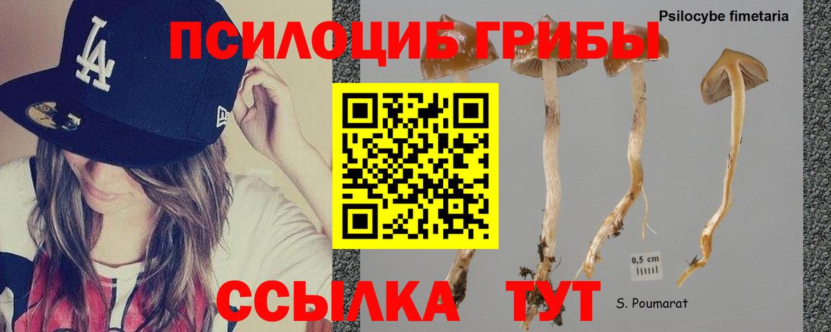 Верхний Уфалей  Галлюциногенные грибы прущие грибы  Галлюциногенные грибы прущие грибы  Вход с VPN 